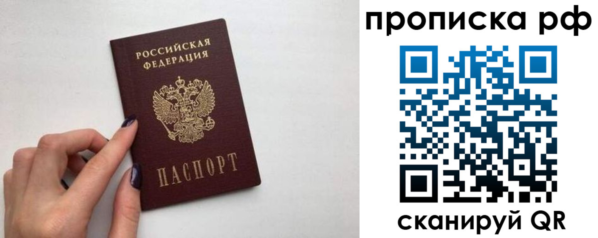 прописка в квартире в Коми